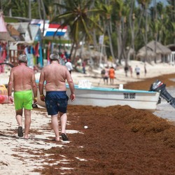 Penampakan Pantai Terkepung Alga Rumput Laut, Pendapatan Warga Ambruk