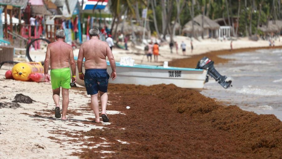 Kondisi pantai yang dipenuhi rumput laut sargassum, sejenis alga di Punta Cana, Republik Dominika, Rabu (9/7/2025). (REUTERS/Erika Santelices)