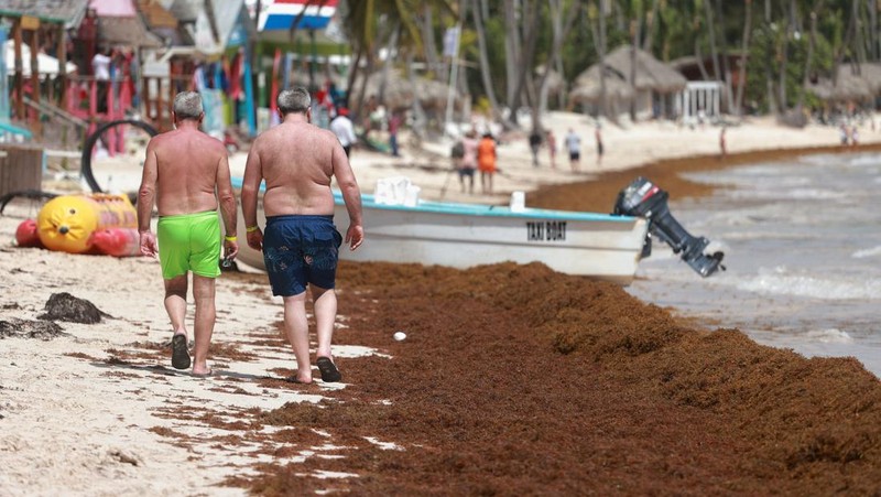 Kondisi pantai yang dipenuhi rumput laut sargassum, sejenis alga di Punta Cana, Republik Dominika, Rabu (9/7/2025). (REUTERS/Erika Santelices)