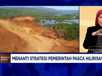 RI Punya Kawasan Industri Raksasa, Hasilkan Bahan Baku Baterai EV