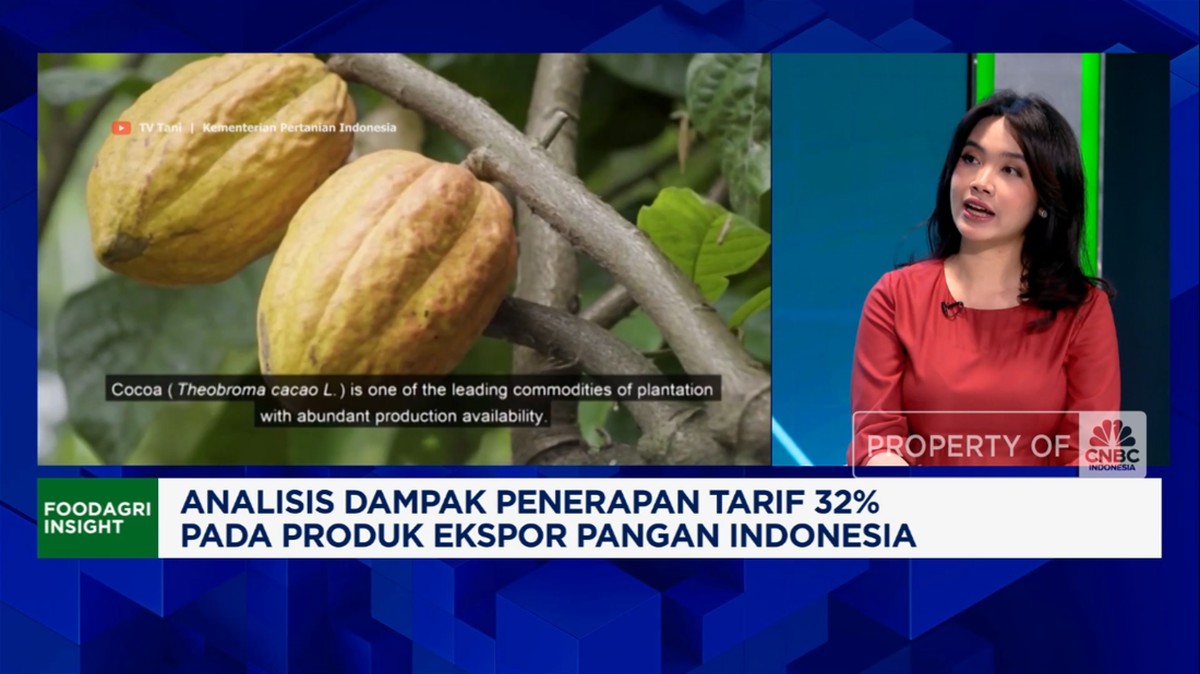 Video: Nasib Ekspor Pangan RI, Diganjal Trump - Lawan Thailand Cs