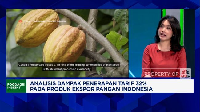 Video: Nasib Ekspor Pangan RI, Diganjal Trump - Lawan Thailand Cs