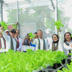 Lewat Program Ini, Pertamina Hijaukan Hutan & Bawa Dampak Ekonomi