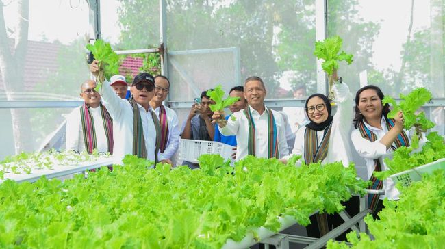 Lewat Program Ini, Pertamina Hijaukan Hutan dan Bawa Dampak Ekonomi