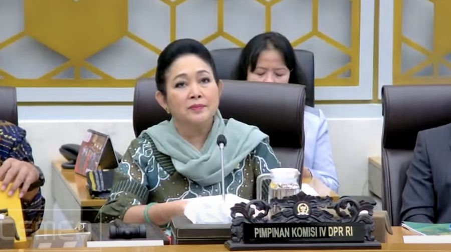 Pimpinan Komisi VI DPR RI, Titiek Soeharto. (YouTUbe/TVR Parlemen)