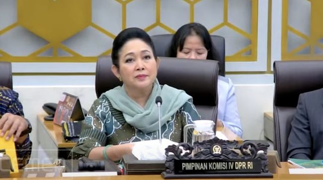 Palu Diketuk Titiek, DPR Setuju Anggaran Kementan 2026 Jadi Rp 44,6 T