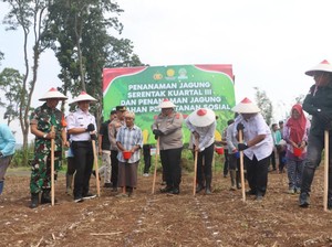 Polres Pasuruan Ajak Mahasiswa Tanam Jagung di Lahan Perhutanan Sosial