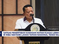 Video: Satgas PKH Kuasai 81.000 Hektar Lebih Lahan TN Tesso Nillo