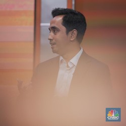 Lewat Baterai EV, RI Punya Peran Strategis di Dunia