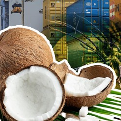 Ironi RI: Raja Kelapa yang Gagal Kuasai Dunia, Dihajar Negara Ini