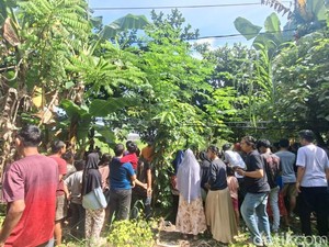 Pria Tewas Tergantung di Pohon Depan Poltekes Tidung Makassar, Polisi Evakuasi