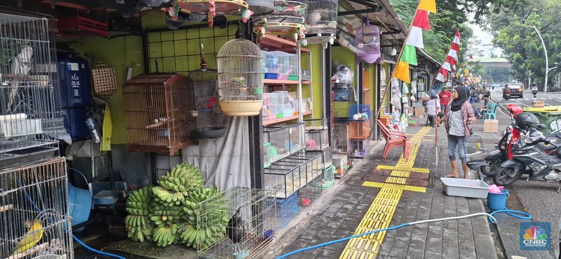 Calon pembeli melihat burung yang dijual di Pasar Hewan Barito, Jakarta, Kamis (10/7/2025). Calon pembeli melihat burung yang dijual di Pasar Hewan Barito, Jakarta, Kamis (10/7/2025). (CNBC Indonesia/Muhammad Sabki)