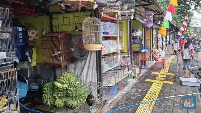 Pasar Barito Sepi Ditinggal Kabur Pembeli, Nasib Pedagang Begini