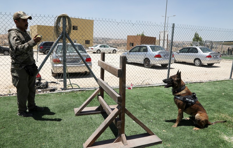 Pusat pelatihan intensif di Pusat K9 Nasional Yordania di Amman. (REUTERS/Alaa Al Sukhni) Pusat pelatihan intensif di Pusat K9 Nasional Yordania di Amman. (REUTERS/Alaa Al Sukhni)