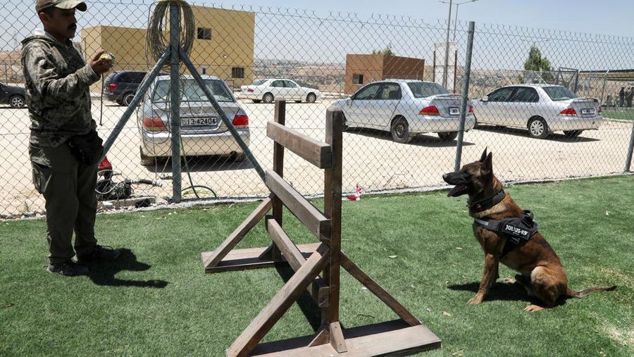 Pusat pelatihan intensif di Pusat K9 Nasional Yordania di Amman. (REUTERS/Alaa Al Sukhni)