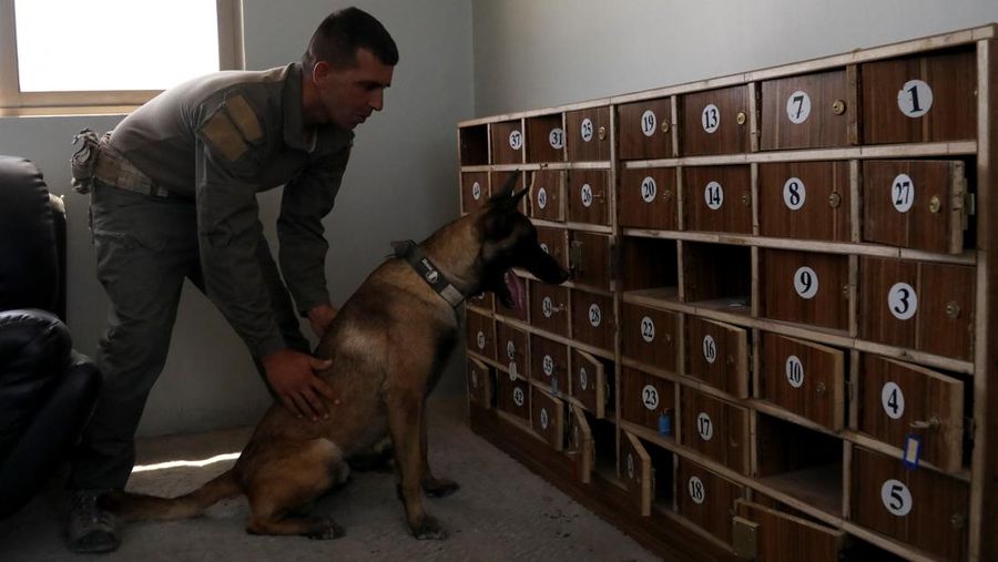 Pusat pelatihan intensif di Pusat K9 Nasional Yordania di Amman. (REUTERS/Alaa Al Sukhni)
