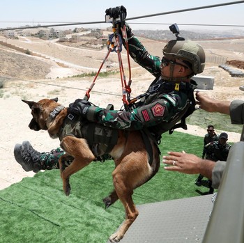 Intip Pelatihan Modern Prajurit Anjing K9 Nasional Milik Yordania