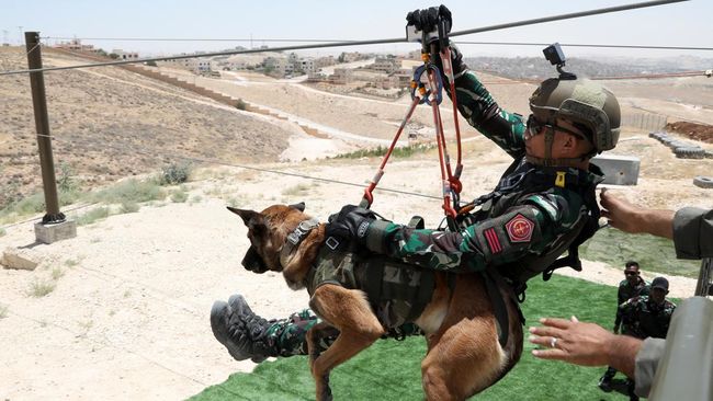 Intip Pelatihan Modern Prajurit Anjing K9 Nasional Milik Yordania