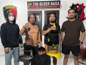Pria di Pangkalpinang Curi Lovebird, Hasil Curiannya untuk Beli Sabu