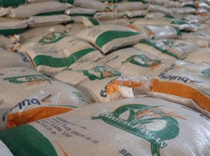 Bansos Beras 1 Juta Ton untuk 33,2 Juta Penerima Bakal Disalurkan Lewat Kopdes
