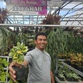 Intip Kisah Klaster Usaha Tanaman Hias Binaan BRI