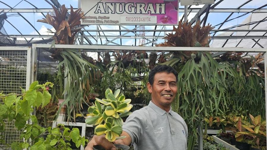 Dok BRI
