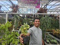 Intip Kisah Klaster Usaha Tanaman Hias Binaan BRI
