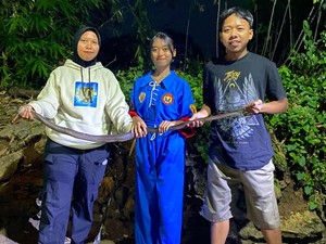 2 Wanita Tangkap Kobra Jawa Ngumpet di Kandang Ayam Sragen