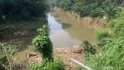 Kesaksian Warga Lihat Biawak Berjajar ke Arah Mayat Tanpa Kepala di Ciliwung