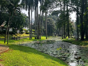 Melihat Taman Ayodya, Langsat, dan Leuser yang Akan Digabung Jadi 1 Kawasan