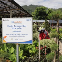 Perkuat Ekonomi Kerakyatan, BRI Berdayakan 41 Ribu Klaster Usaha