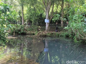 Cara Bening Saguling Atasi Masalah Sampah di Sungai Citarum