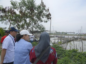 Walkot Semarang Mulai Siapkan Ekowisata Mangrove di Tambakrejo