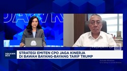 Video: Duh! Ekspor CPO RI ke AS Bisa Anjlok 20% Efek Tarif Trump