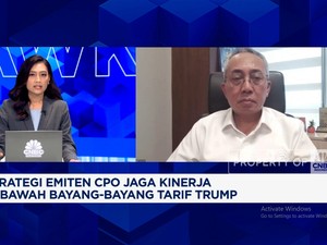 Video: Duh! Ekspor CPO RI ke AS Bisa Anjlok 20% Efek Tarif Trump