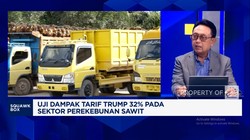 Video: Pangkas Hambatan Ekspor Sawit ke Eropa, RI Bisa Contoh Malaysia