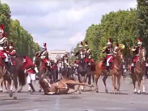 Video: Di Depan Prabowo, Kuda Parade Militer Bastille Day Jatuh
