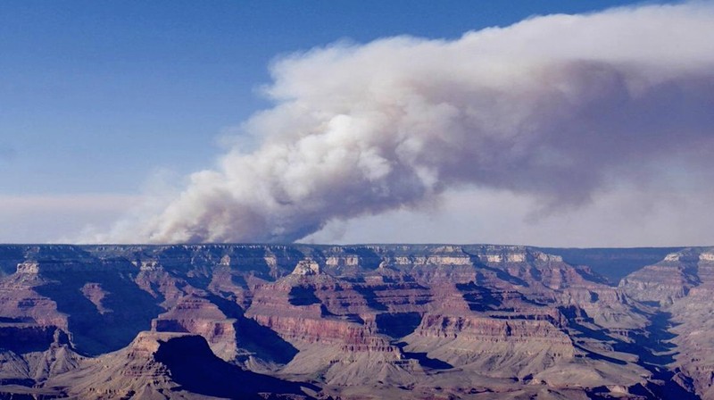 Petugas pemadam kebakaran dan kendaraan darurat diposisikan di depan Kebakaran Dragon Bravo di Grand Canyon, Arizona, AS dalam gambar yang dirilis 13 Juli 2025. (National Park Service/Handout via REUTERS)