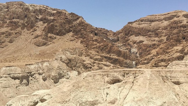 Manusia Kawin Campur dengan Spesies Lain, Umur Anak Hanya 5 Tahun