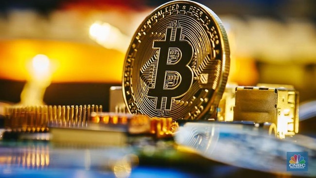 Bitcoin Rontok 50%, Sinyal Crypto Winter Muncul Lagi?