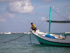 Peringatan! Ikan di Laut Jawa Hampir Habis