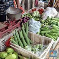 Harga beberapa sayuran di Pasar Minggu, Jakarta Selatan terpantau normal pada Selasa (15/7/2025). (CNBC Indonesia/Chandra Dwi Pranata)