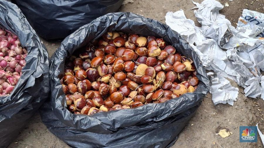 Harga beberapa sayuran di Pasar Minggu, Jakarta Selatan terpantau normal pada Selasa (15/7/2025). (CNBC Indonesia/Chandra Dwi Pranata)