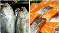 Ikan Kembung vs Ikan Salmon, Mana Lebih Tinggi Protein dan Omega 3?