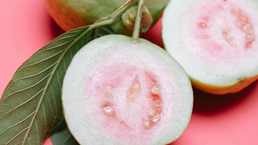 jambu jambu