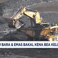 Video: Siap-Siap! Batu Bara & Emas Bakal Kena Bea Keluar di 2026