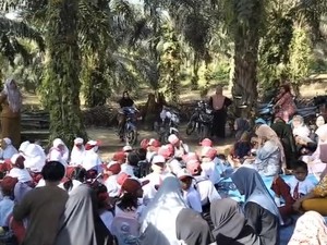 Puluhan Siswa SD Belajar di Bawah Pohon Sawit di TNTN Pelalawan
