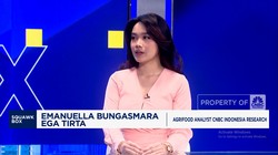 Video: Beras Oplosan Menjamur & Bikin Resah, Salah Siapa?