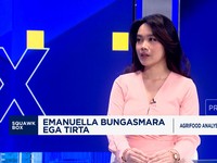 Video: Beras Oplosan Menjamur & Bikin Resah, Salah Siapa?