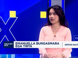 Video: Beras Oplosan Menjamur & Bikin Resah, Salah Siapa?